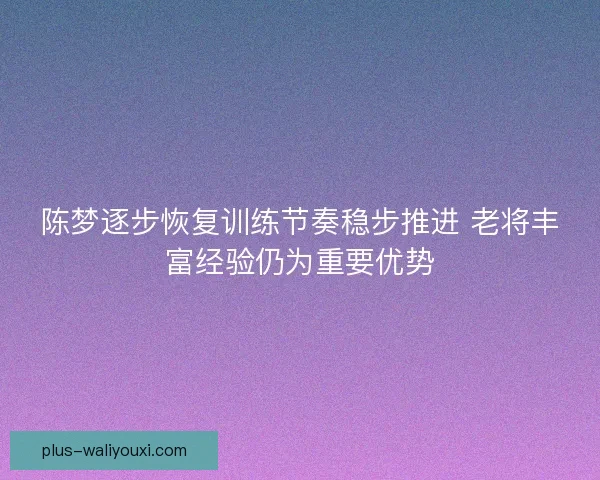 陈梦逐步恢复训练节奏稳步推进 老将丰富经验仍为重要优势 陈梦逐步恢复训练节奏稳步推进 老将丰富经验仍为重要优势
