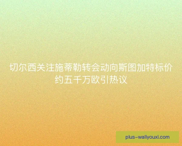 切尔西关注施蒂勒转会动向斯图加特标价约五千万欧引热议